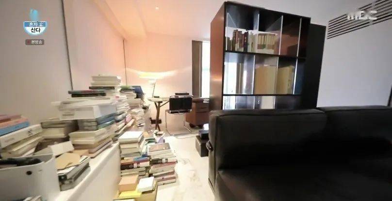 中韩|顶流男神58亿独居豪宅大曝光，中韩网友全傻眼：猫也有独卫？！