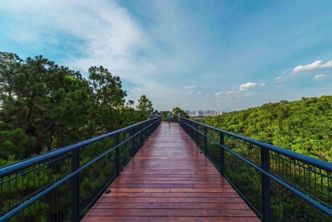 蜿蜒的空中栈道  头顶是开阔的无限天空 抬头望见诗与远方 日落时分