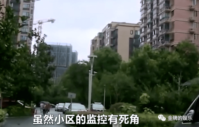 52岁来女士失踪案最新进展：大女儿认为母亲被绑架，因为家里刚分了房子