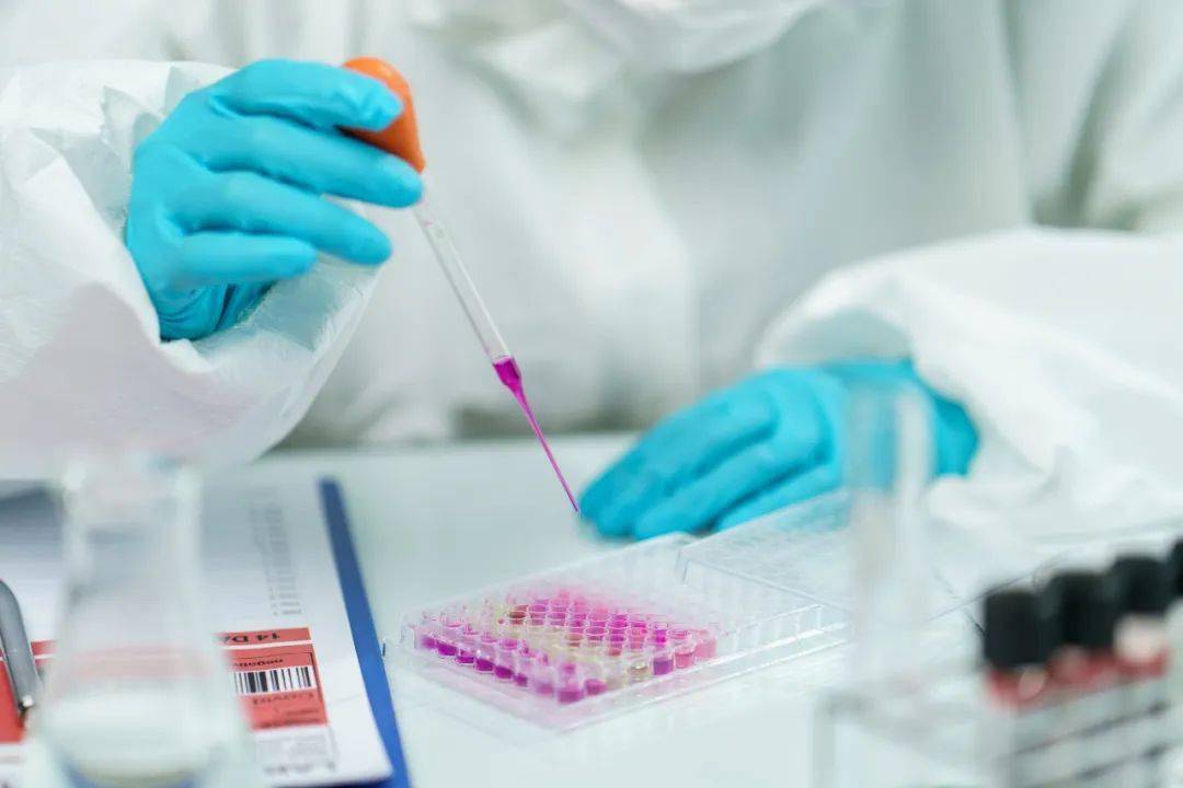 患者|当“糖胖症”遇上肾脏病变……