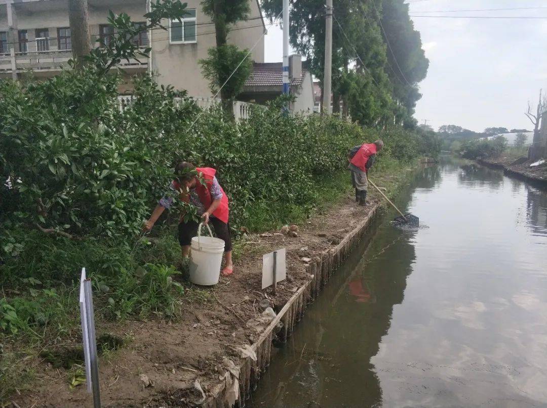 河道治理常态化相约星期四爱水护河活动今天你参加了吗