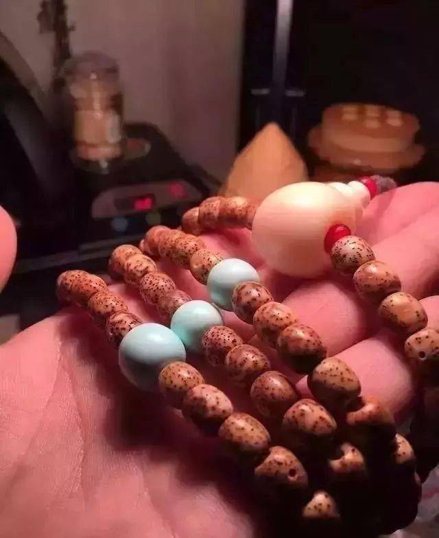 要点|菩提搭它，惊艳！