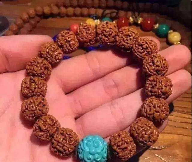 要点|菩提搭它，惊艳！