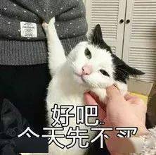 女朋友|恋爱前后必有的神奇变化