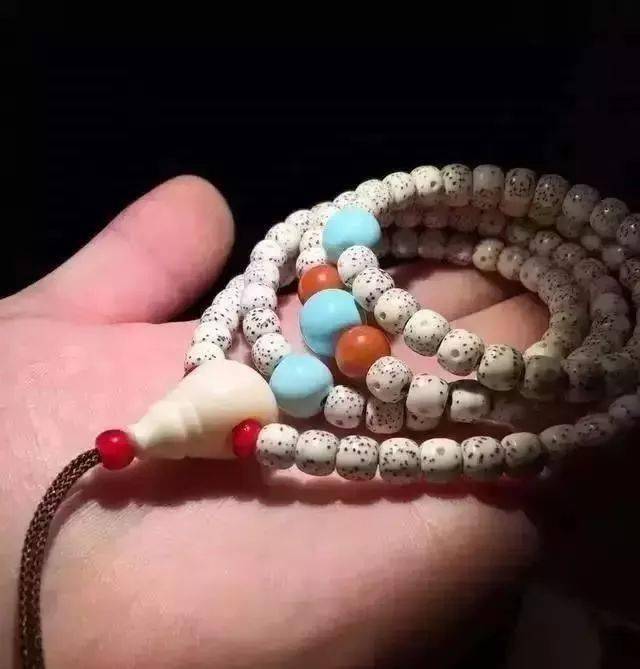 要点|菩提搭它，惊艳！