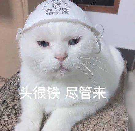 猫咪表情大礼包 如果喜欢今天的表情包别忘了给我们  关注,转发,点赞