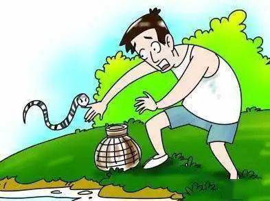 梦境奇遇，被毒蛇咬后三年中毒又愈的奥秘