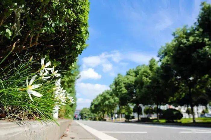 2020年江苏经贸排名_2020年江苏经贸校排球赛开幕