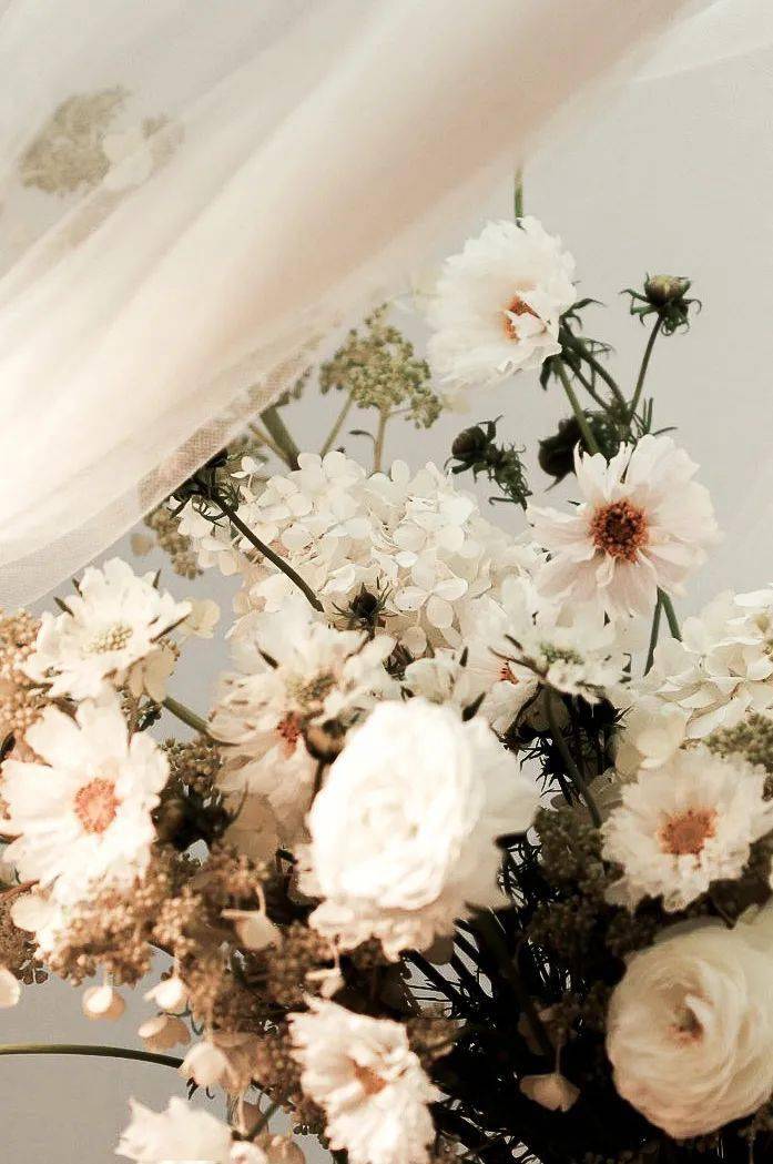 修护|美容新品来势汹汹，25倍蜂皇水小众香膏……都是你的菜！