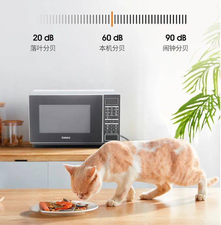 传统|变频微波炉大揭秘！买到就赚到！