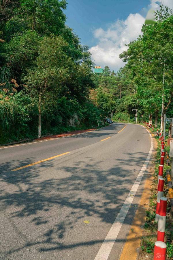 画面|夏季少女 · 橘