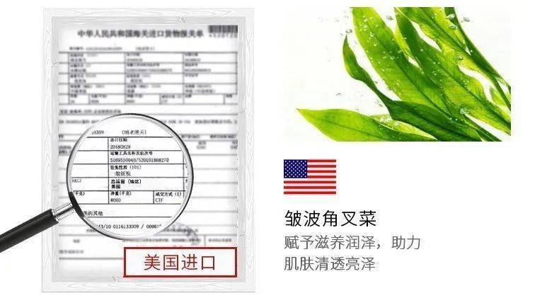 张天|张天爱比杨幂会“撩”?让小奶狗痴迷的她,到底有啥不一样?