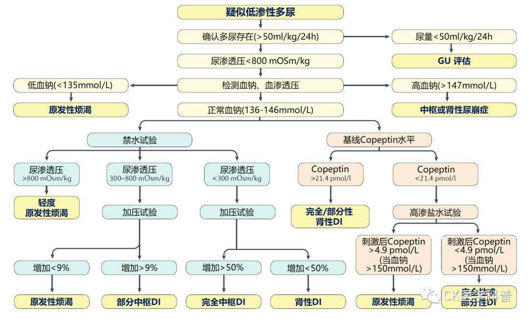 一文理清尿崩症的诊断与治疗