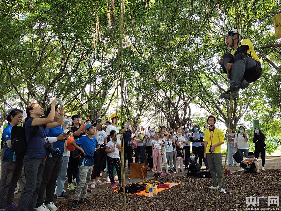 教育|2020年粤港澳自然教育季启动