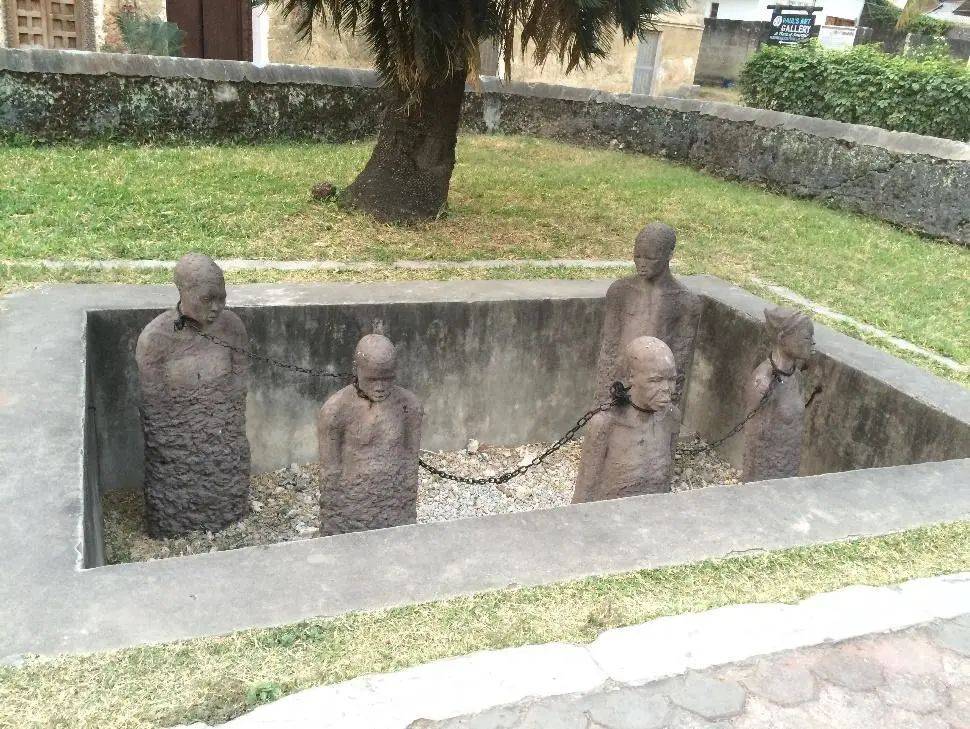 阿曼|原产亚洲的丁香，为何会取代黑奴成为东非小岛的支柱？