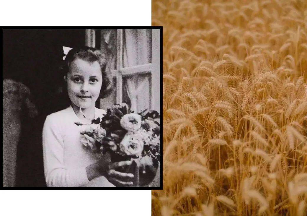 寓所|花16W买香奈儿值吗？值！！！