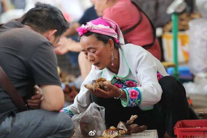 中毒事件|云南2020年野生菌中毒事件273起