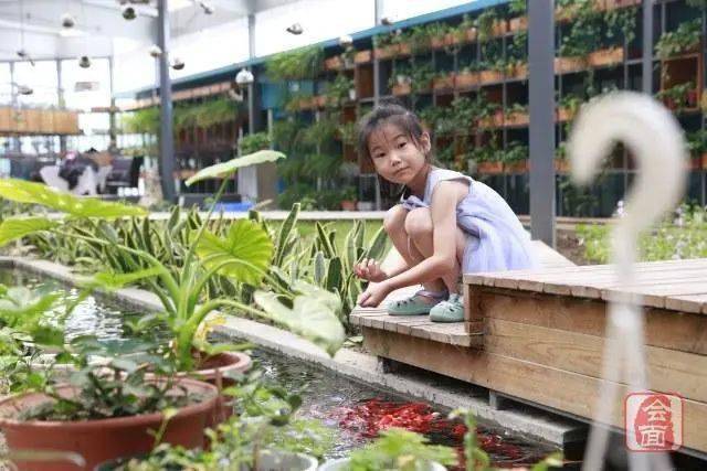 教育|河南师范大学在郑州的第一所小学长啥样？ 先睹为快！