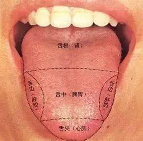 火在肝里失眠火在胃里口臭火在肺里咳嗽火在心里