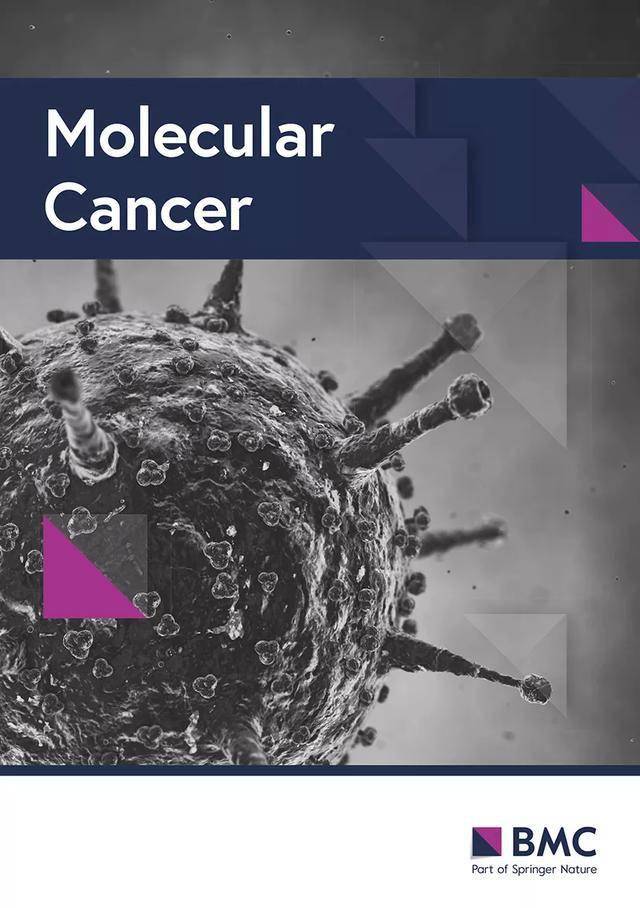 带你了解molecular cancer | 附 最新期刊影响因子