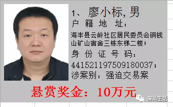 海丰县人口_汕尾市第七次全国人口普查公报出炉!海丰常住人口73万……_腾讯新