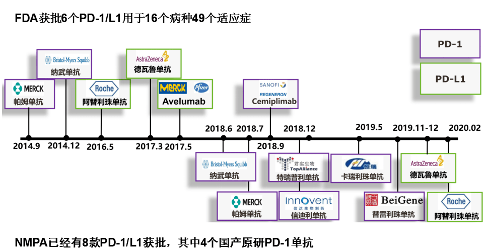 抗癌界的"新星,免疫检查点抑制剂到底是什么?