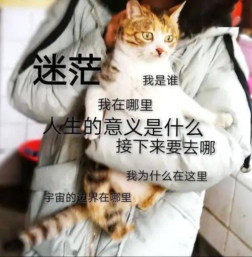 酒精|酒精、皂基、防腐剂，这些“烂脸”成分真的这么可怕吗！