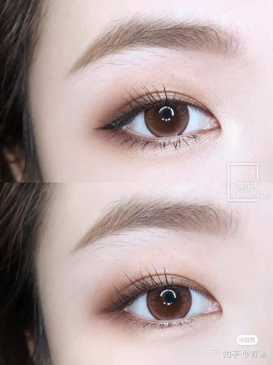 日记|完美日记，你个小辣鸡