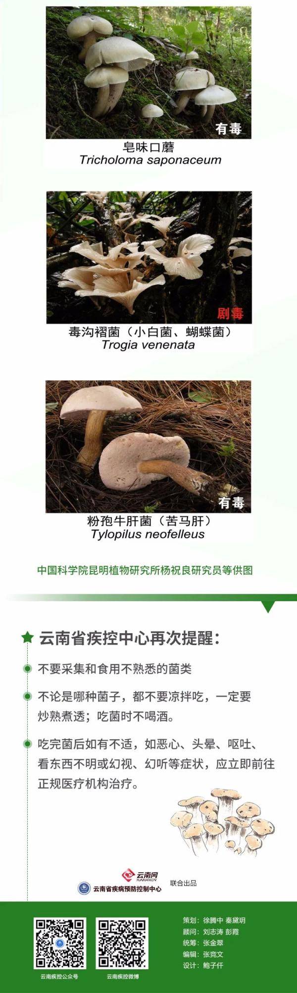 一家人|不敢相信！已有12人身亡！吃青头菌也中毒？