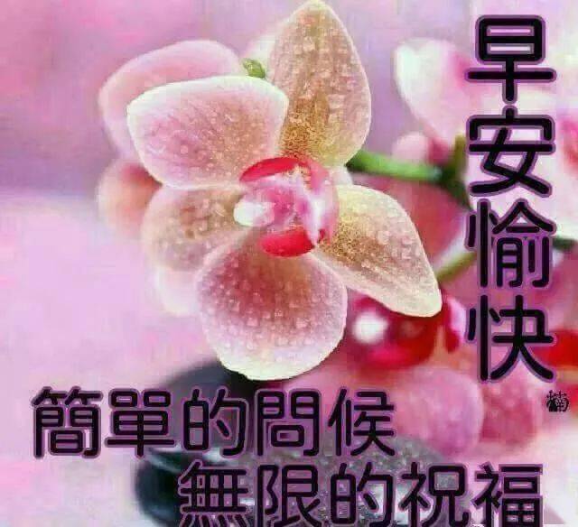 微信很温馨的早上好问候祝福图片 温馨早上好暖心问候