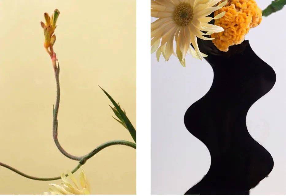 Helle|“长得这么好看，花瓶就花瓶吧”