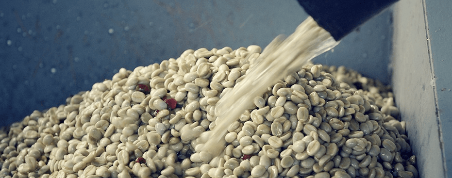 皮肤|想知道如何让肌肤常驻18岁吗？想知道明星三四十岁依然拥有靓丽肌肤吗？点进来我告诉你