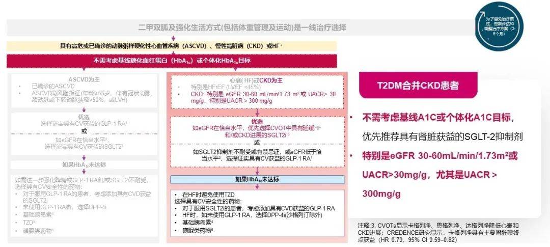 新进展|黎明之光，CREDENCE 研究及其新进展破局 CKD 患者治疗困境