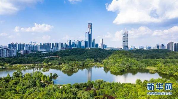 贵阳城市"绿肺"观山湖公园 夏日风光旖旎