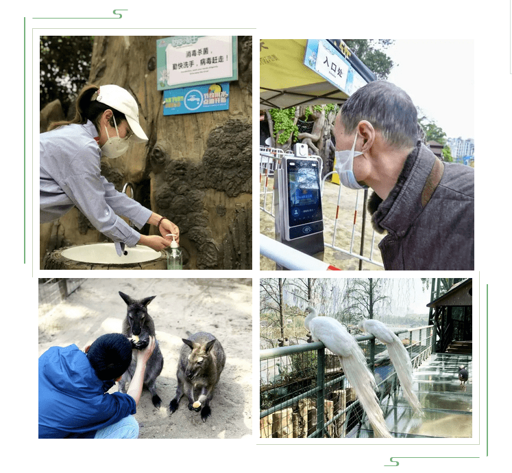 行业|三特索道董事长张泉：文旅行业到底拼啥？运营、流量和IP