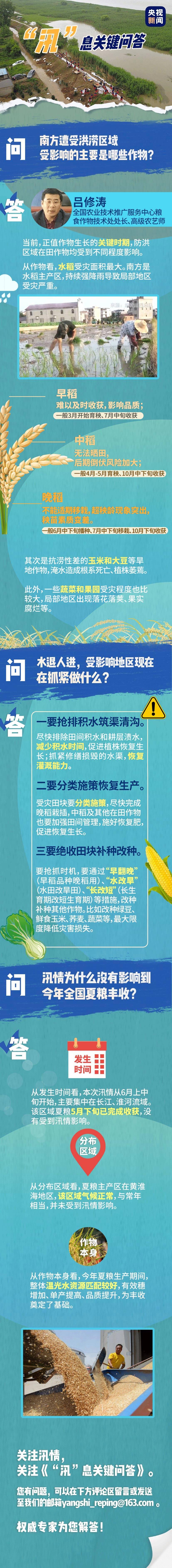 作物|“汛”息关键问答丨哪些作物生长受到影响？全国夏粮产量为何能创历史新高？