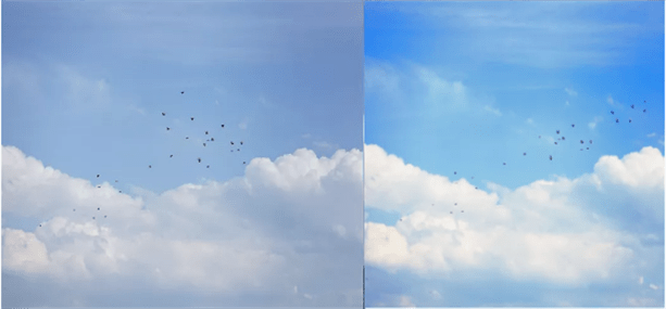 夏天|夏天就应该拍小清新图片，太清爽了！