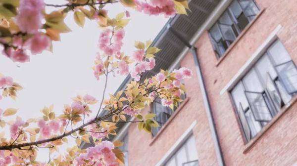 通知书|久等了！湖南大学录取通知书请查收！