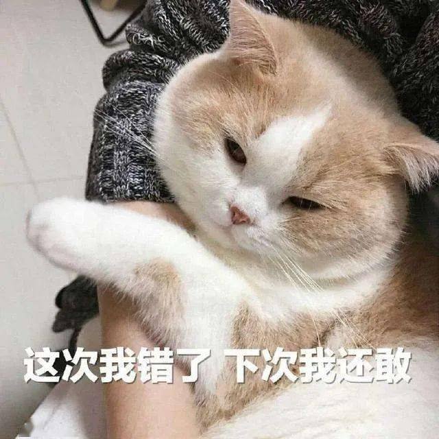 娃哈哈|◇ 娃哈哈开奶茶店、元气森林联名螺蛳粉、喜茶与茶颜悦色合体，这些品牌也太会玩了吧！