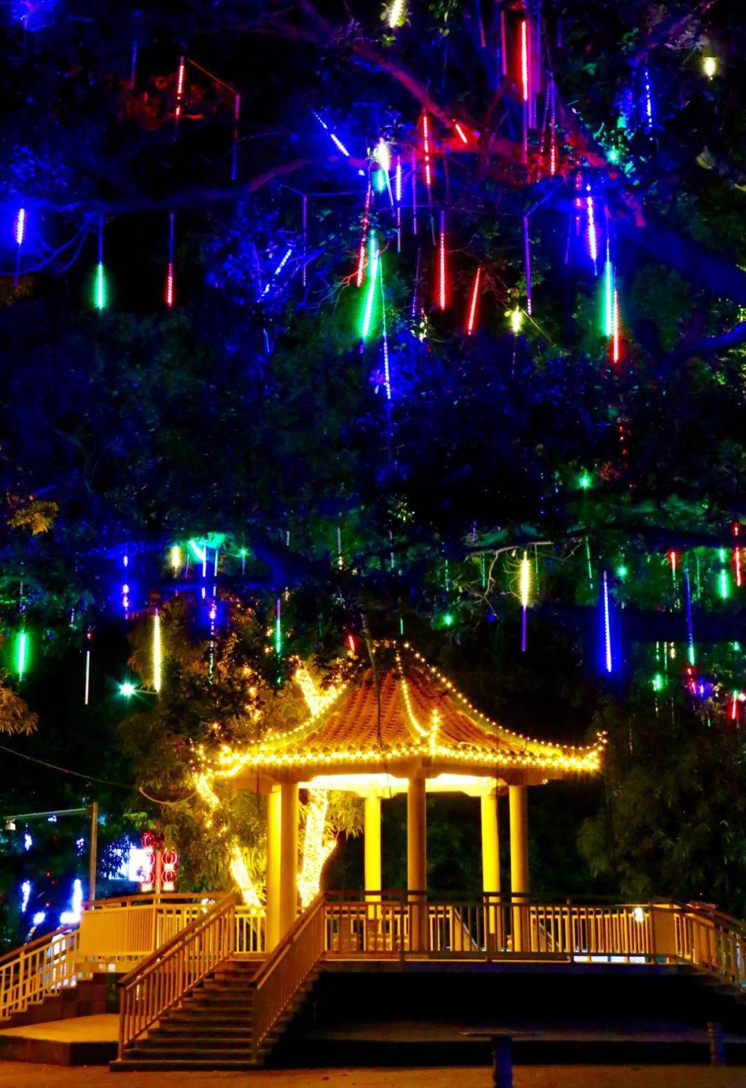 一到夜晚, 珠海这个地方就 夜里的红旗镇文化广场  凉亭和树干上 都