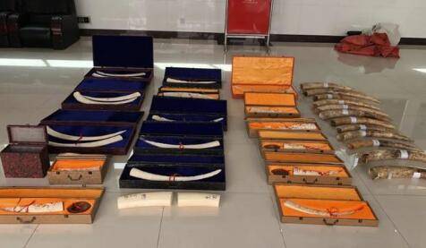 王某文|涉案3.4亿元 福建特大走私象牙案9人被判刑