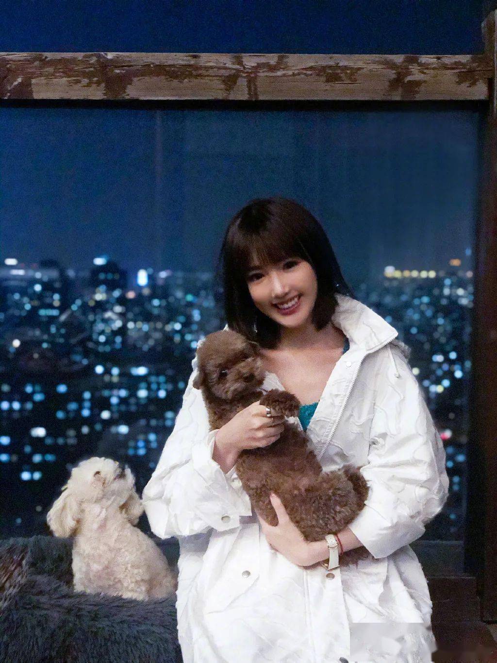 美人计|美人计