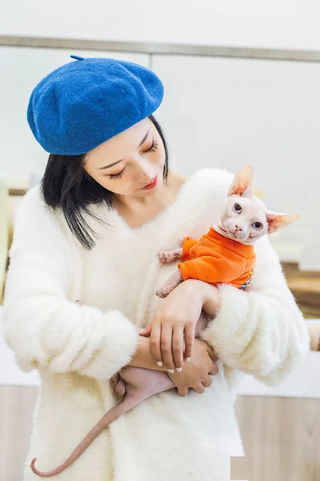 喵姐在合肥 3bec6336aba141f4bae788e5d371a397.jpeg