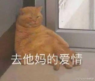 俺这个老实人呢?