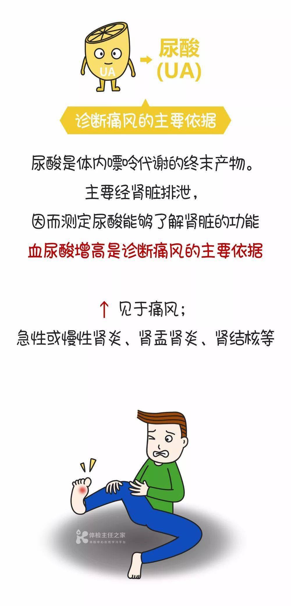 肾脏|肾功能指标主要看肌酐？错了！