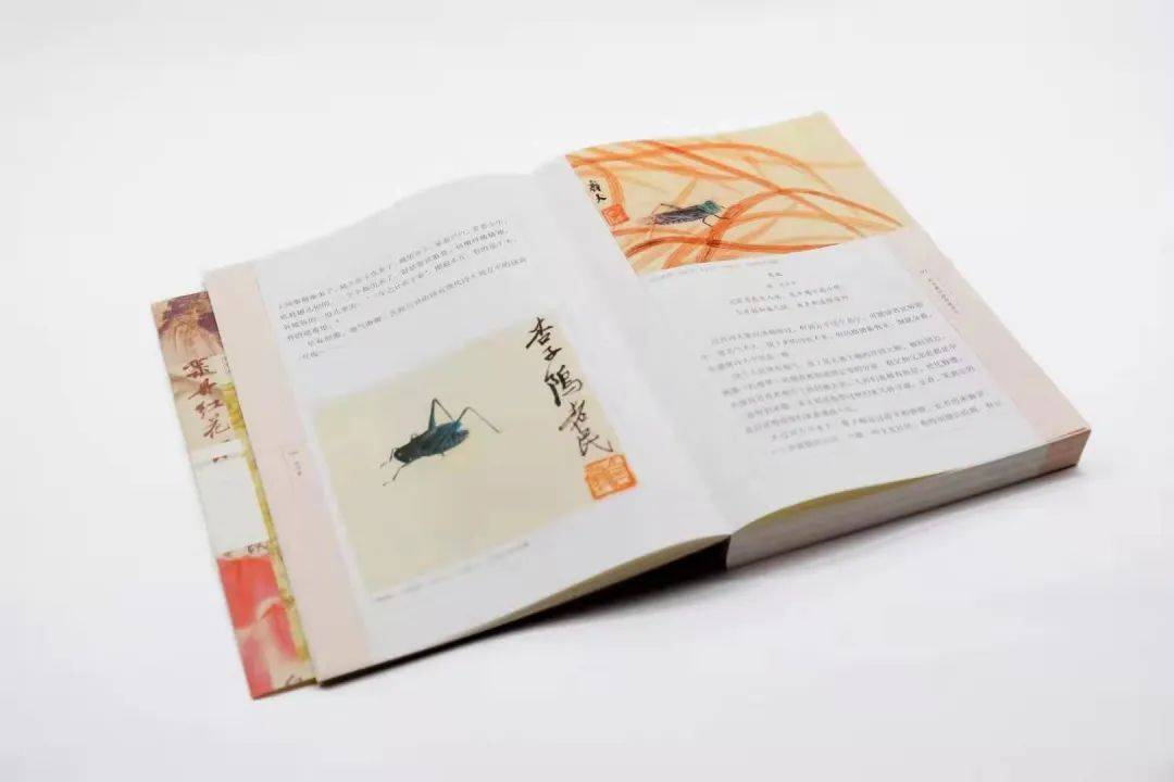 青鸟|青鸟：蓬山此去无多路，青鸟殷勤为探看