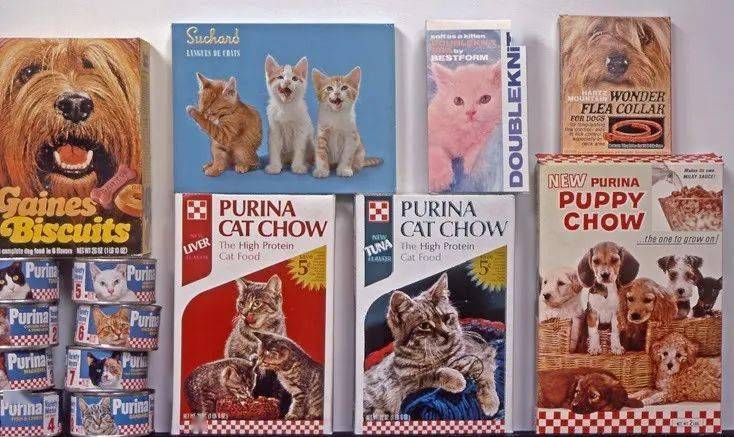 年拍|铲屎官必看!被誉为拍猫教父的他,70年拍猫历史全在这