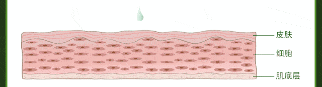 皱纹|抗皱抗衰老还在打针?用它赶走三八脸、鱼尾纹,让小朋友见到你都喊姐姐!