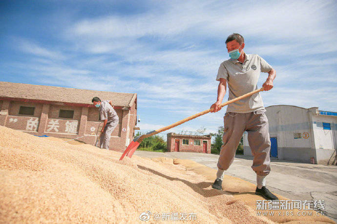 颗粒归仓|颗粒归仓 管护正忙