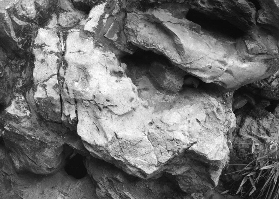 展览|看展览｜“走神”，当代摄影艺术展陈于古老的苏州园林